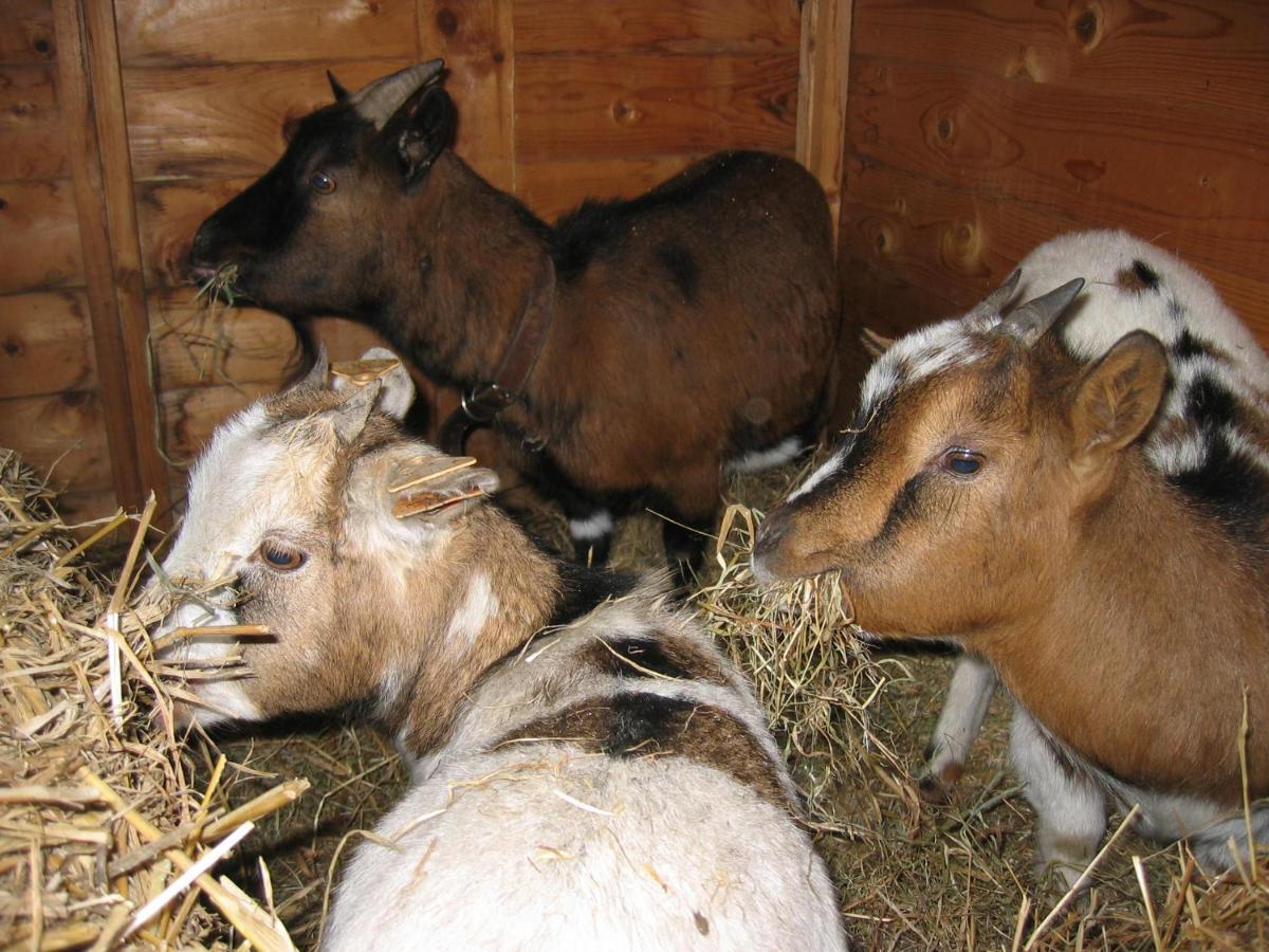 مبيت وإفطار دربي Comme A La Ferme المظهر الخارجي الصورة